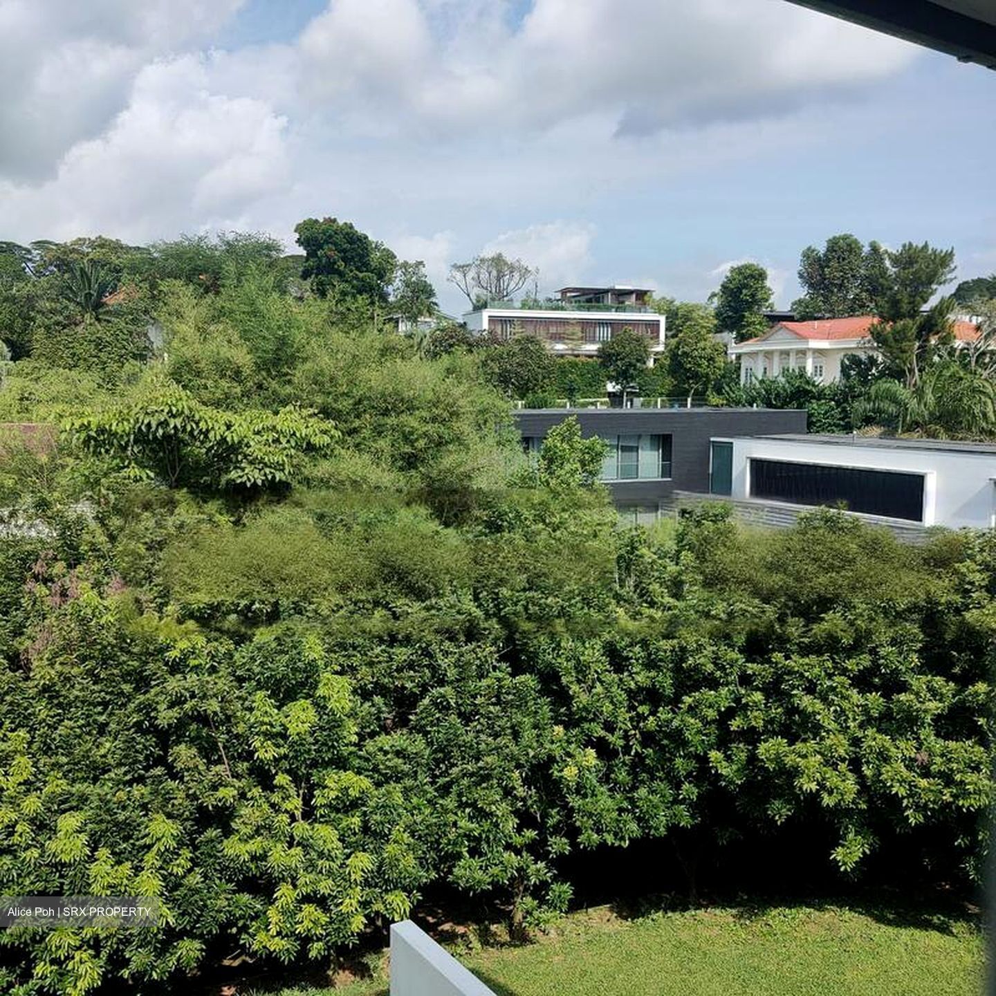 White House Park (D10), Detached #464110341